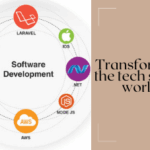 Software Development