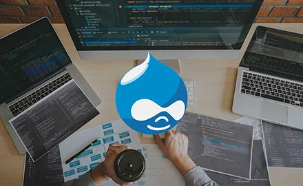 Drupal Development